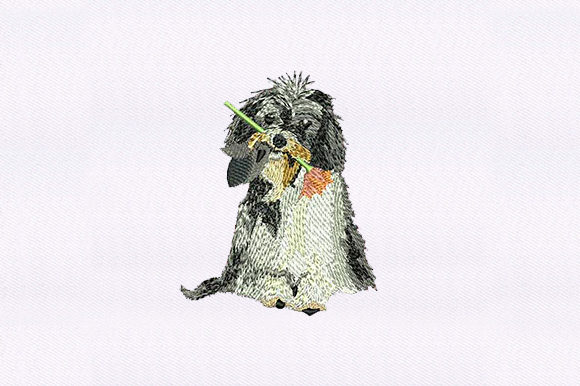Yorkshire Terrier: A Designer’s Review for Apparel